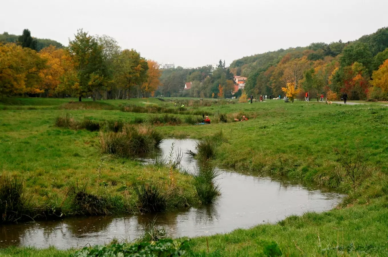 Přírodní park Rokytka v Praze-Královicích