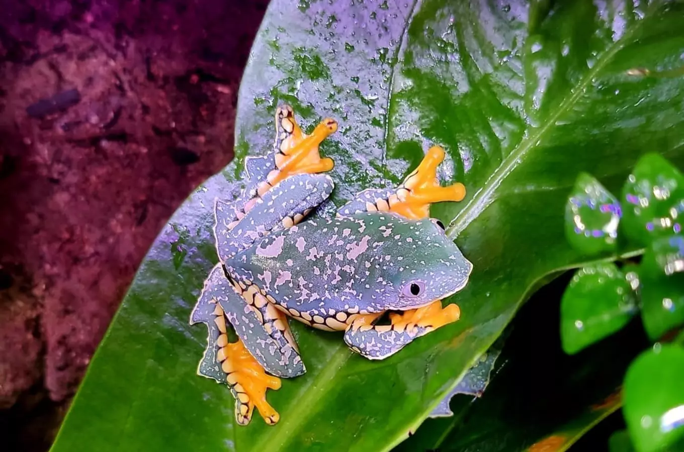 Zoo Liberec – dobrodružství z poznání