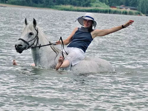 Plavení s koňmi