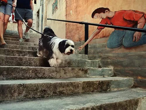 Street foto – ulice plné příběhů
