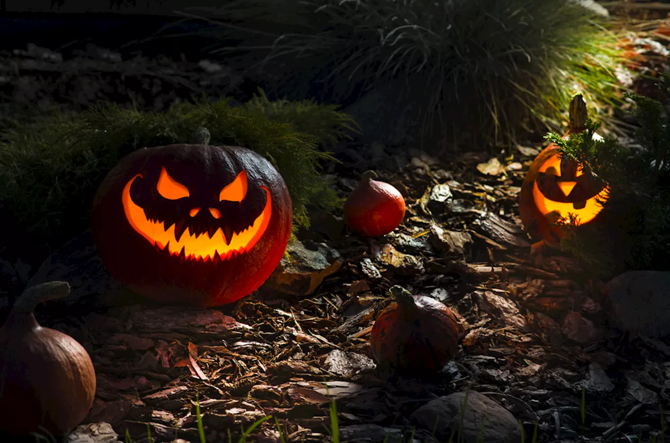 Samhain, Dušičky a Halloween: začátek keltského roku i vzpomínky na mrtvé