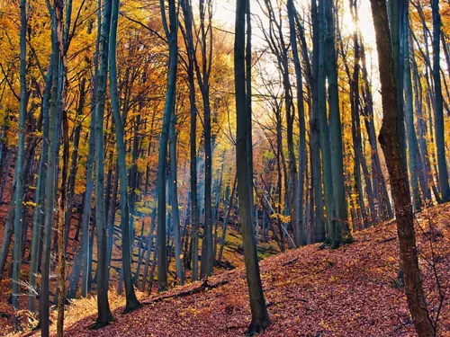 Českomoravská vrchovina, Kudy z nudy, Vysočina