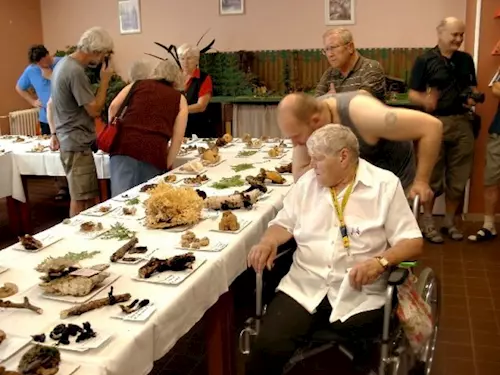 Výstava hub v domove pro seniory v Chebu