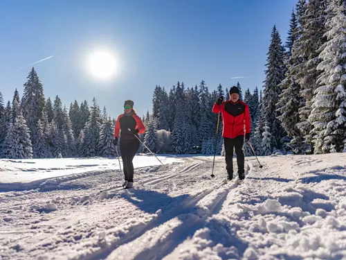 Počasí navzdory: běžky nebo pěšky v Plzeňském kraji