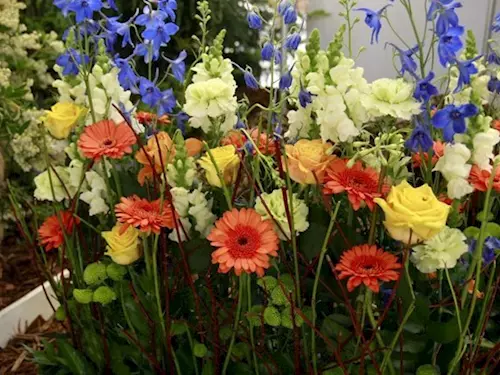 Olomoucká Flora nabídne stovky kvetu