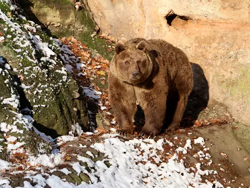 Čertovské odpoledne v Zoo Plzeň