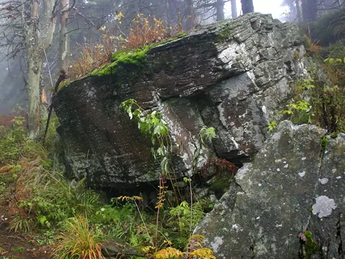 Zdroj foto: Chráněná území Zlínského kraje