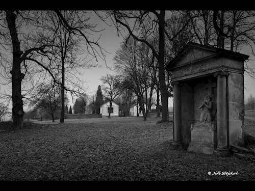 Bývalý hrbitov v Brtníkách_výstava Ceské Nizozemí_foto Jirí Stejskal