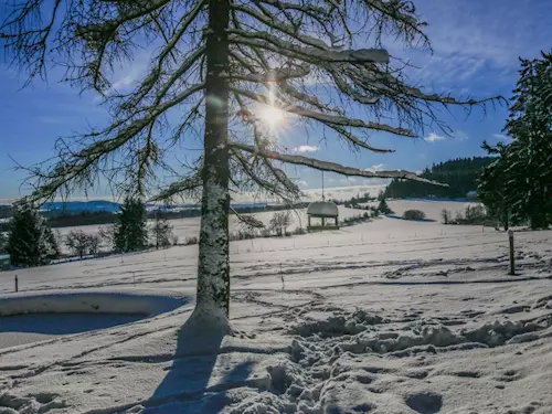 Šumavou na běžkách – lyžování v okolí Frymburku a Lipna
