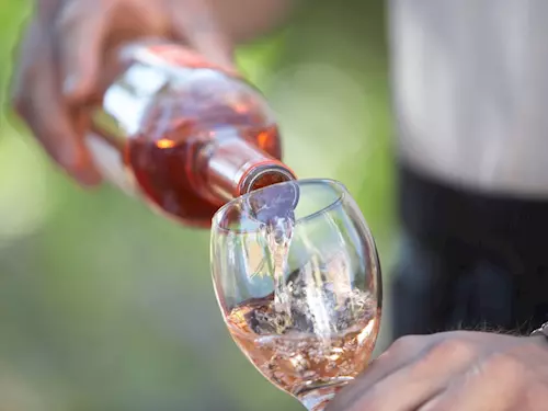 Víkendový Festival otevřených sklepů představí 34 vinařů a jejich vína
