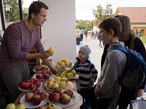 Výstava starých odrůd ovoce