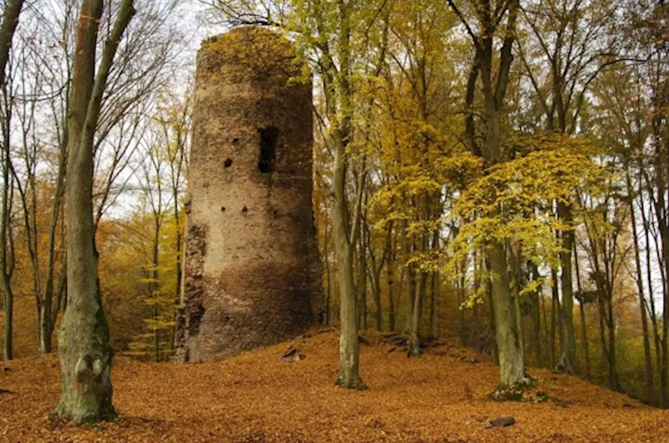 Zřícenina Chřenovice, Kudy z nudy