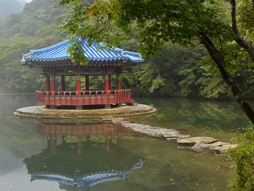 Rostlinná společenstva Koreje – fotografická výstava v Botanické zahradě Praha