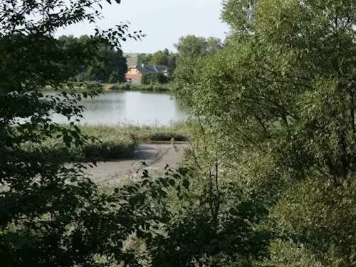 Rybník Velký Košíř – jeden z nejstarších rybníků ve východních Čechách