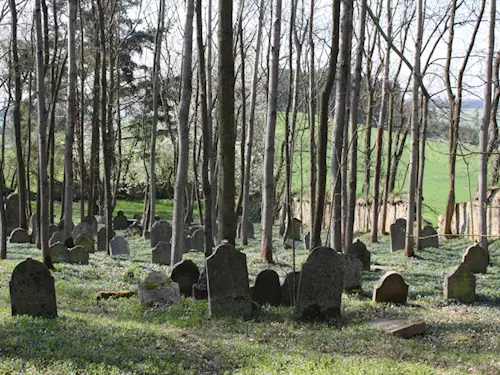 Židovský hřbitov v Telicích
