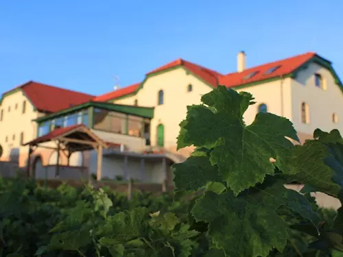 Hotel Vinohrad – vychutnejte si krásy jižní Moravy