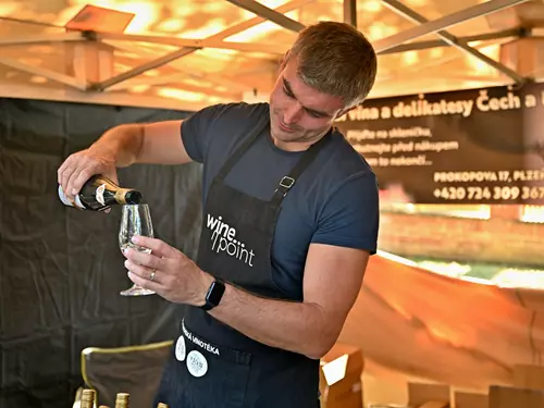 Bolevecké vinobraní 2025