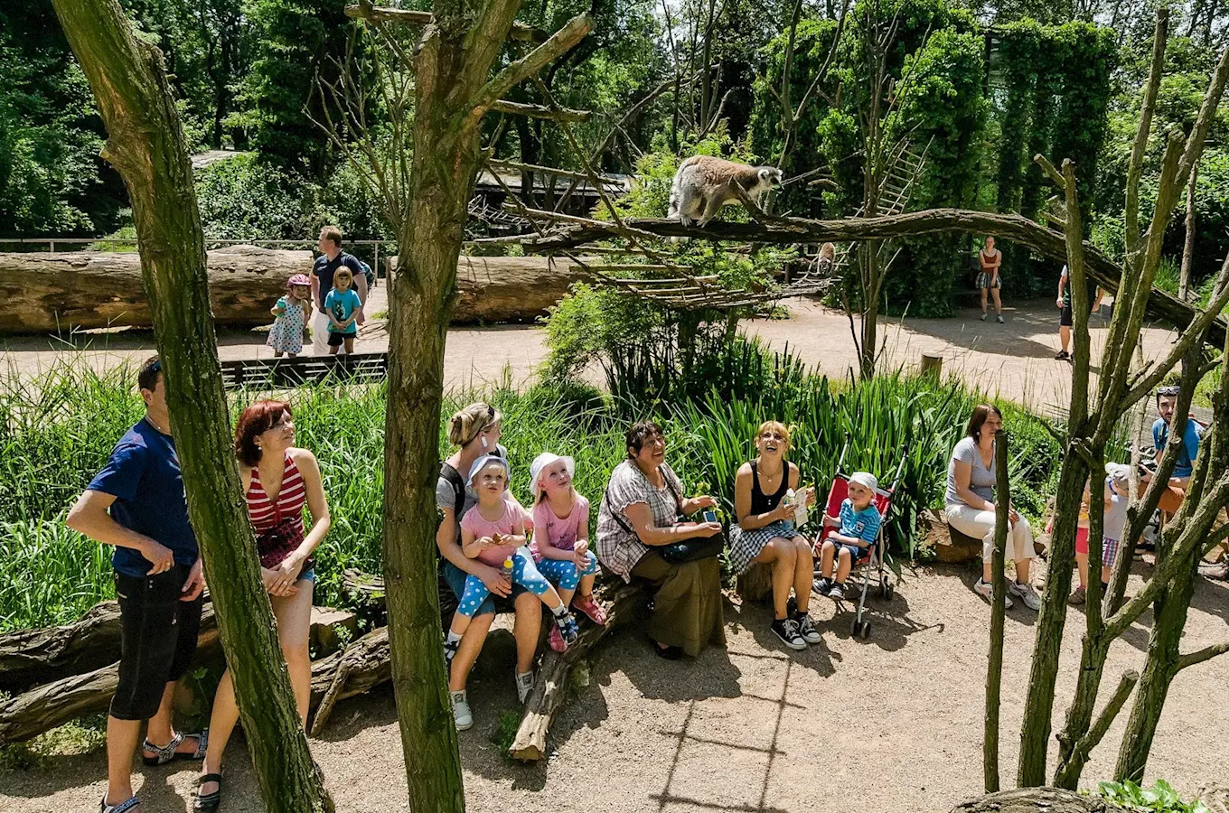 Přijďte do Zoo Praha s vysvědčením nebo o víkendu