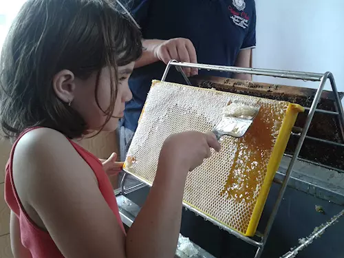 Vytácení medu pro deti
