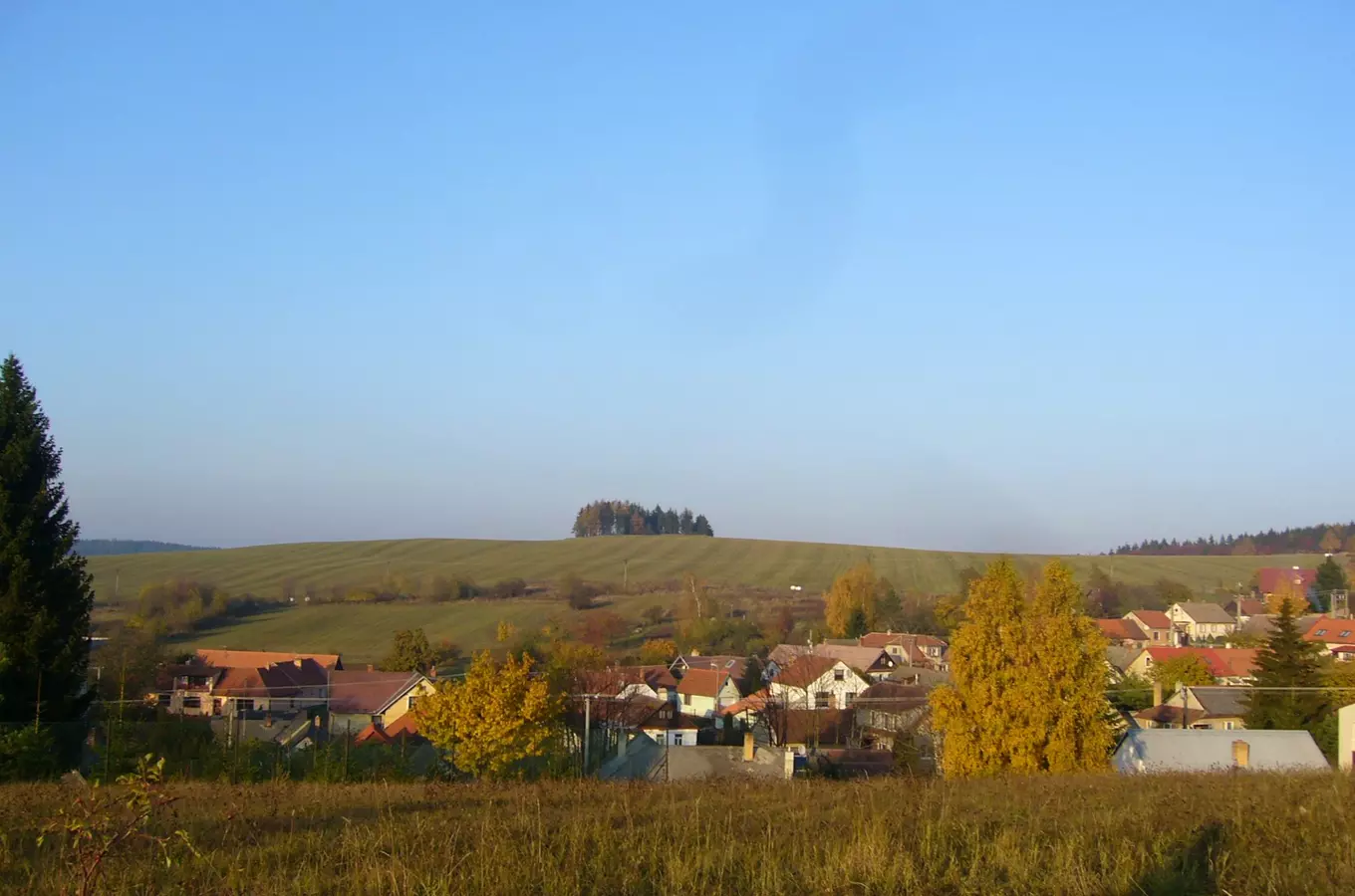 Kořenec