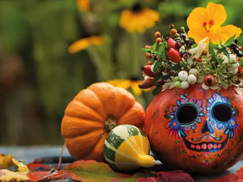 Výstava dýní a dýňových aranžmá v botanické zahradě v Troji – Día de los Muertos