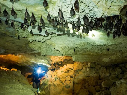 Poznejte všechny zpřístupněné jeskyně v Česku