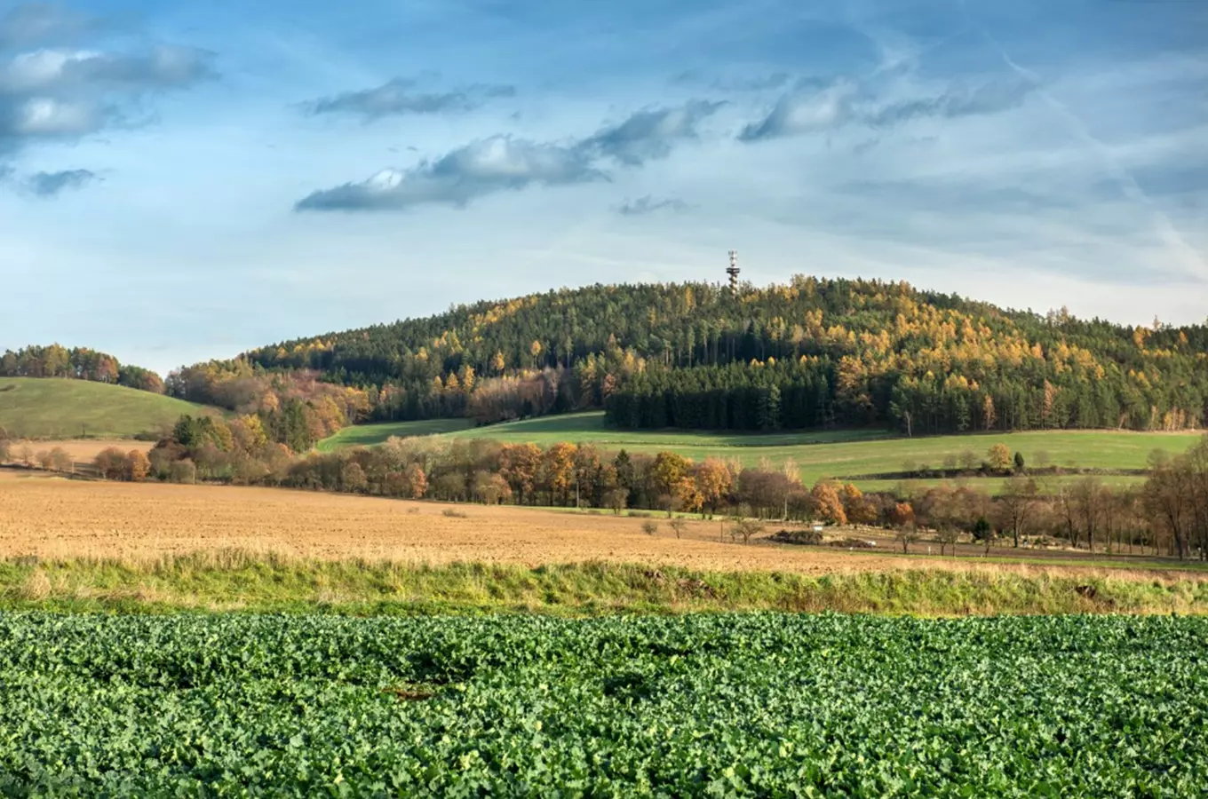 Zdroj foto: Toulava