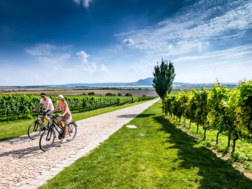 Tradice, Jihomoravský kraj: skvělé jídlo, víno, vinařství i projížďky vinicemi na kole, Kudy z nudy