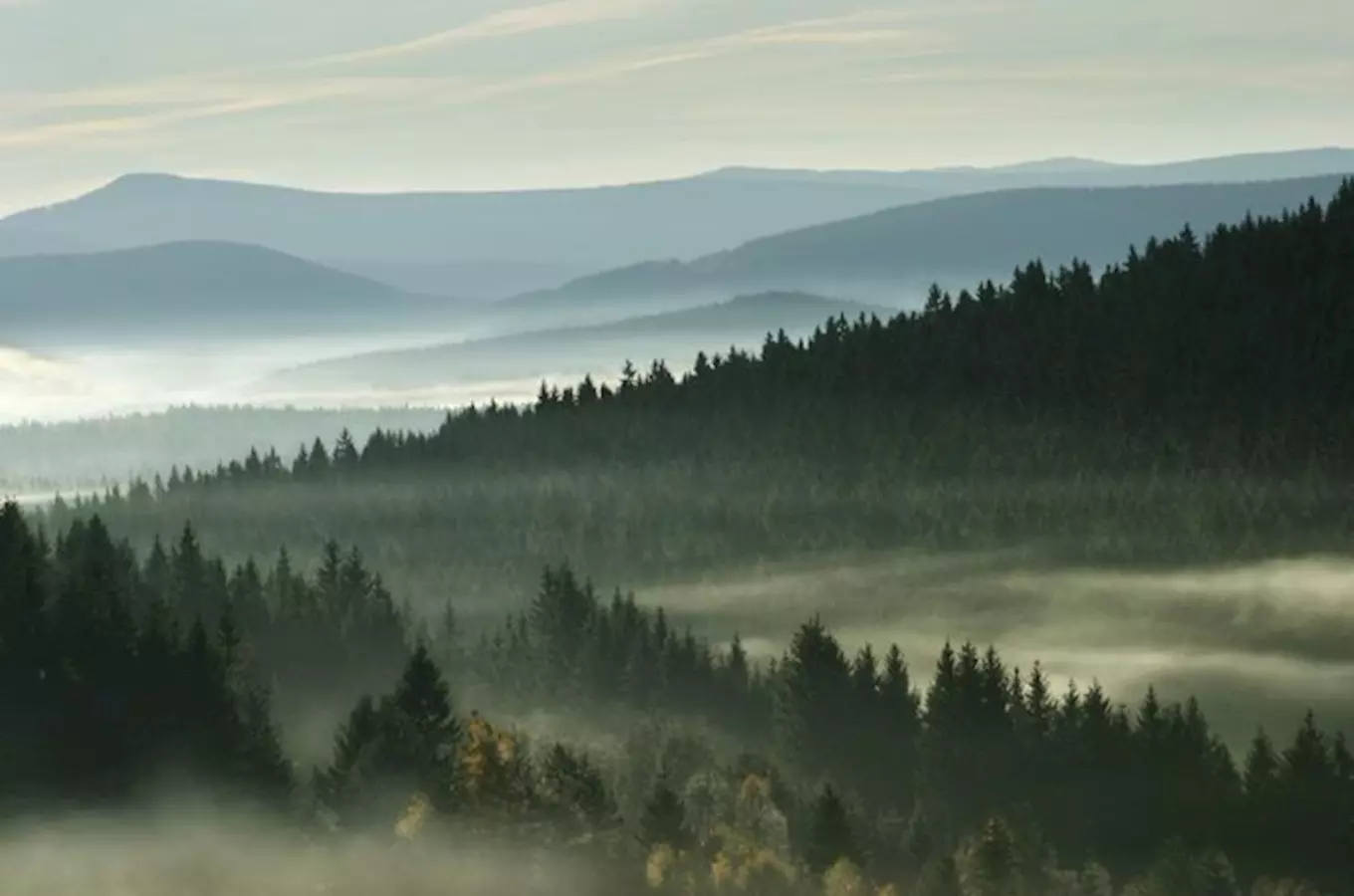 Šumava