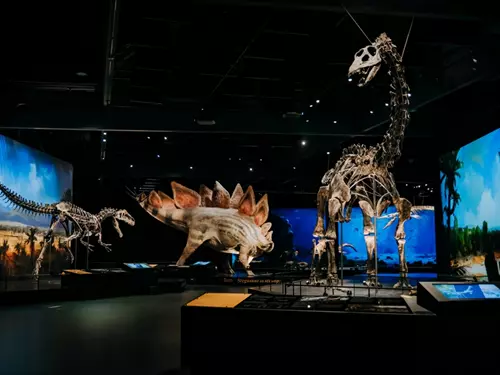 Dinosauria Praha – Dinosauria Museum Prague