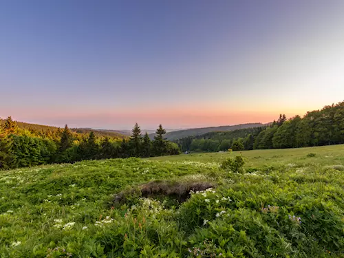 Nejkrásnější pohodové hřebenovky v Čechách: Jizerské, Orlické a Rychlebské hory