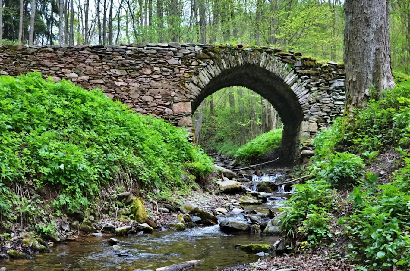 Přírodní památka Sklenářovice v Krkonoších