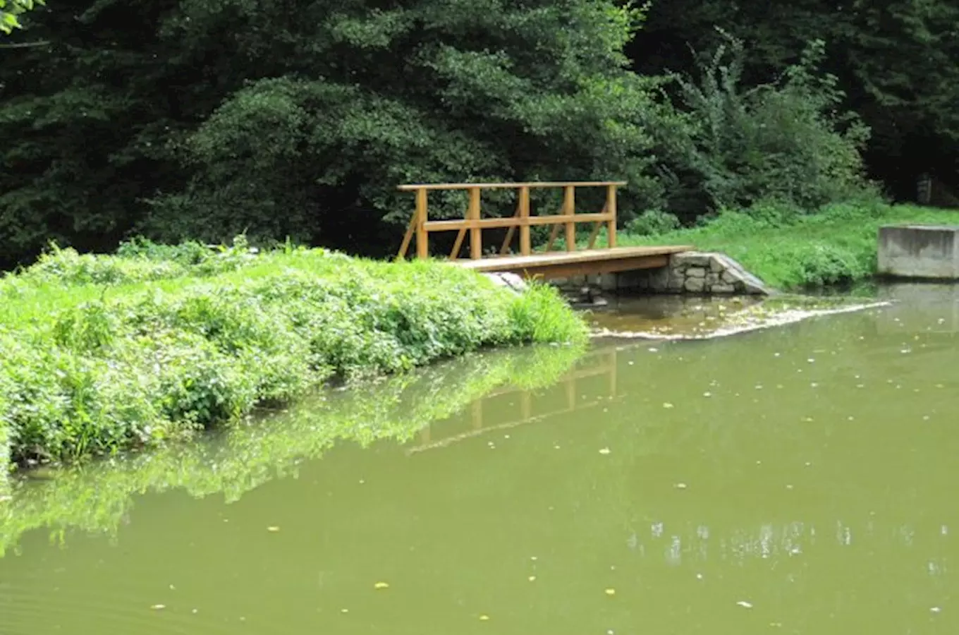 Zřícenina hradu Věžka v Druztové u Plzně