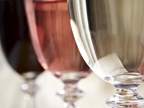 Ochutnejte svatomartinské víno na zámku Zbiroh