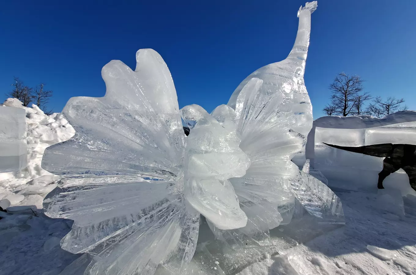 Zdroj foto: mapy.cz, autor Petr Belica