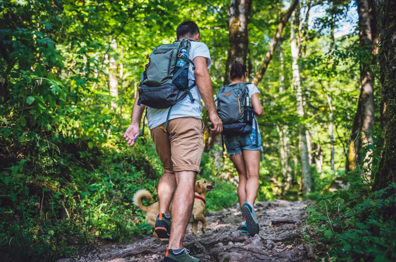 Turistická trasa Brněnská podkova