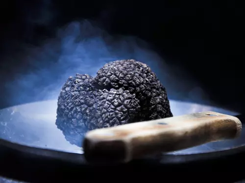 Karel IV. a středověká gastronomie: od chleba s máslem po lanýže