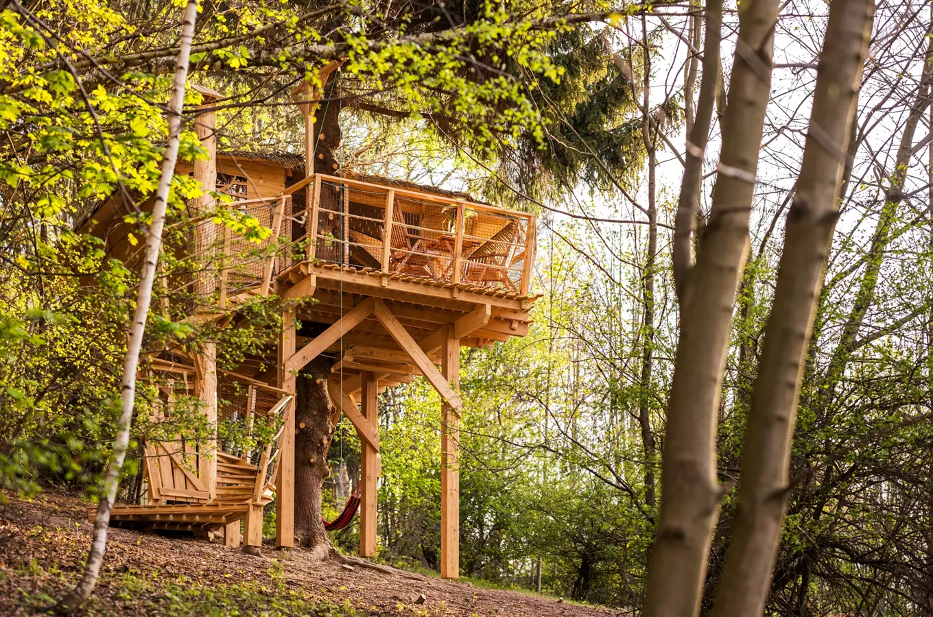 Treehouse Ještěd