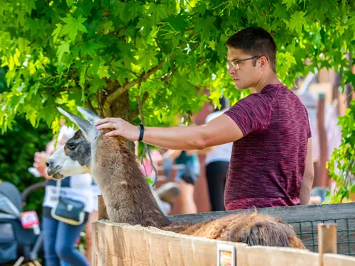 Zoopark Vyškov, kudy z nudy