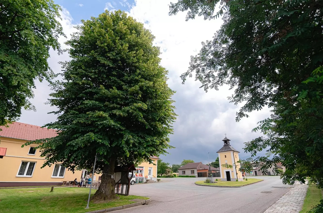 Zdroj foto: Strom roku