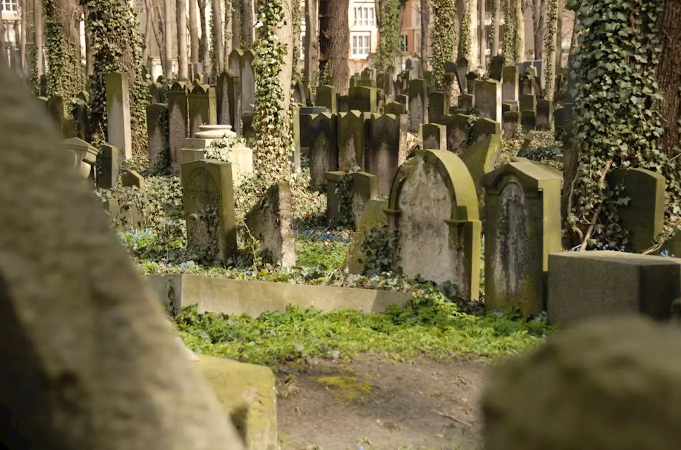 Mahlerovy sady se starým židovským hřbitovem na Žižkově