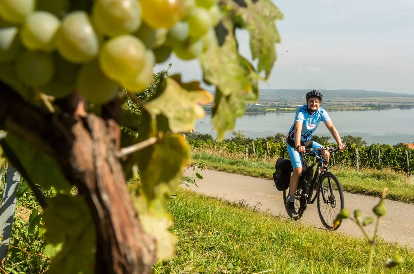 Krajem vína – Na kole za vůní Pálavy
