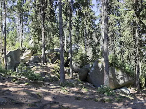 Přírodní rezervace Choustník