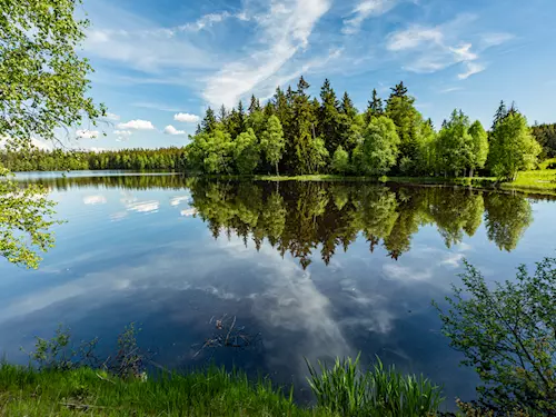 Nejvýznamnější místa Slavkovského lesa představuje Dům přírody Kladská