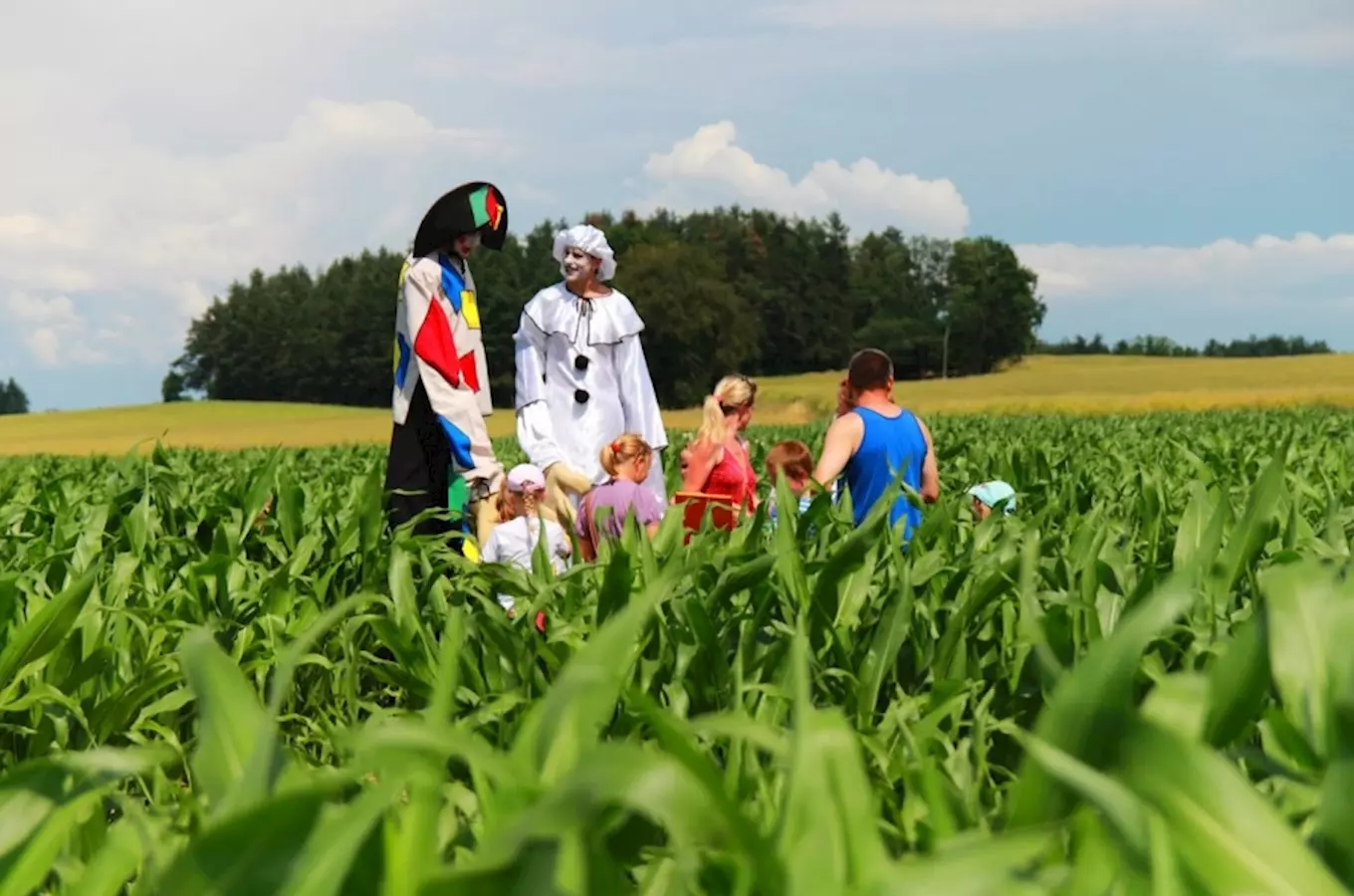 Na jihu Čech děti čeká do konce srpna kukuřičné bludiště