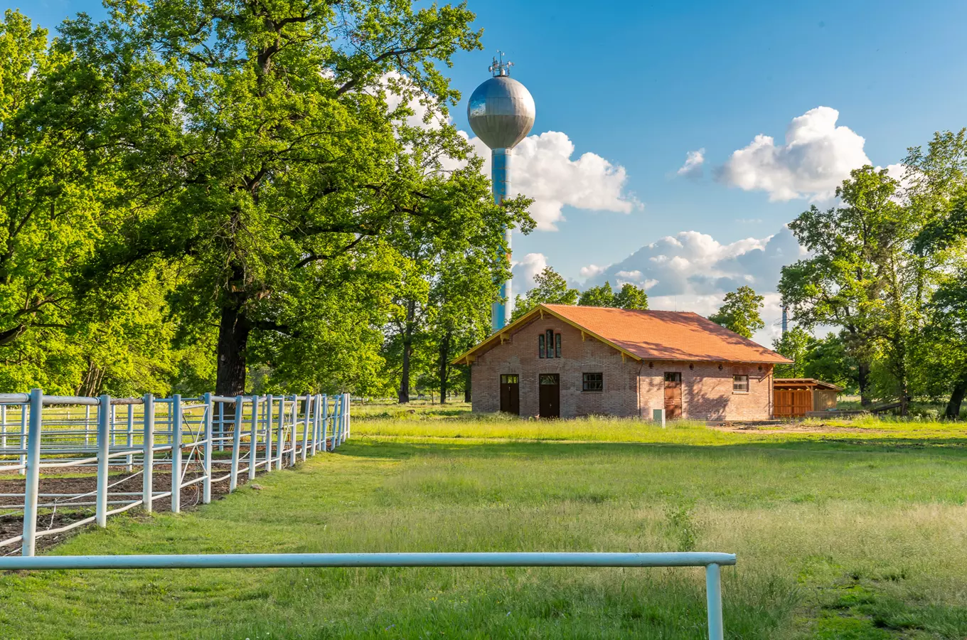 Paddock v Národním hřebčíně Kladruby nad Labem se otevřel veřejnosti