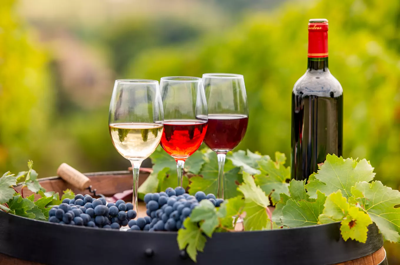 Za vinobraním se vypravte o víkendu na roudnický zámek