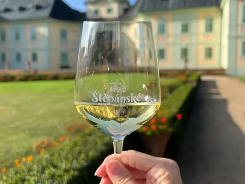 Manětínské vinobraní