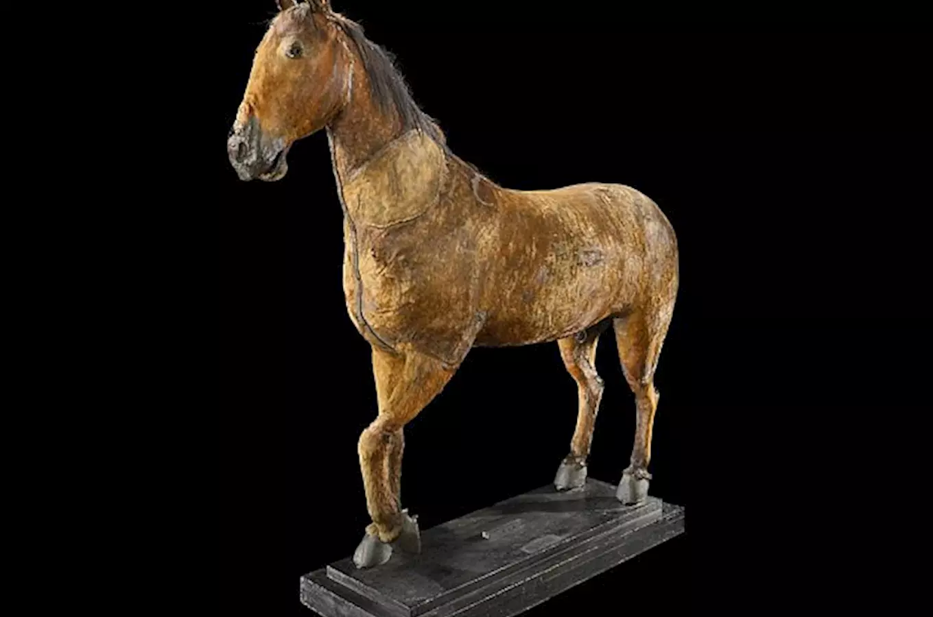 Kůň Albrechta z Valdštejna – druhá nejstarší vycpanina v Evropě