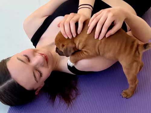 Jóga se štěňátky – puppy yoga